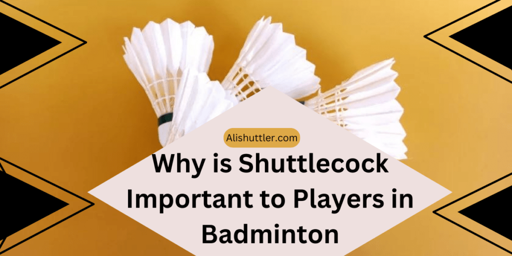 Why is Shuttlecock Important to Players in Badminton 2023
