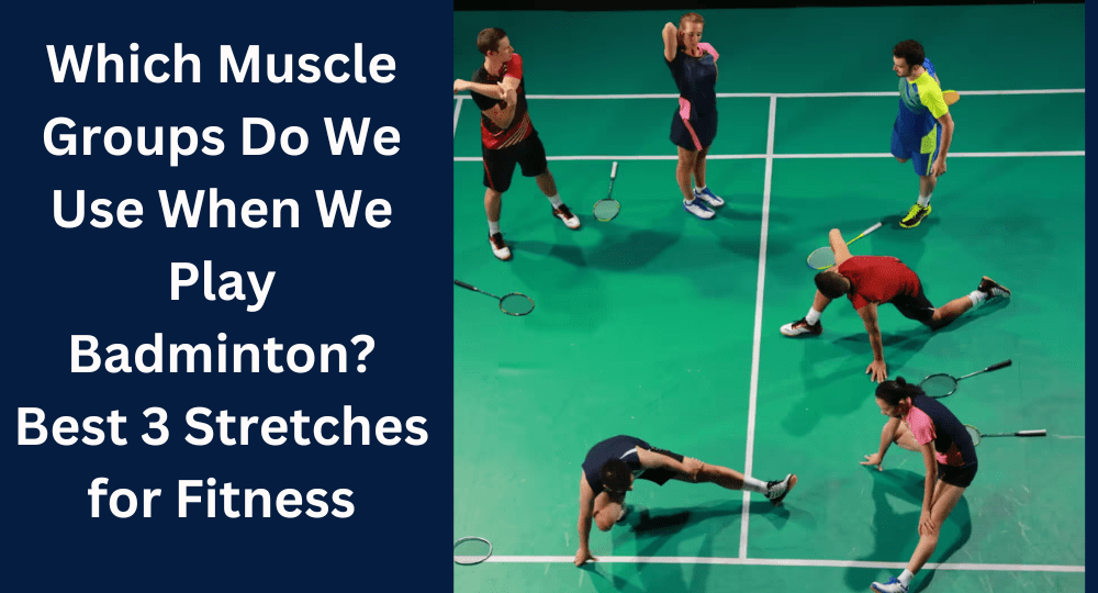 Which Muscle Groups Do We Use When We Play Badminton? Best 3 Stretches for Fitness