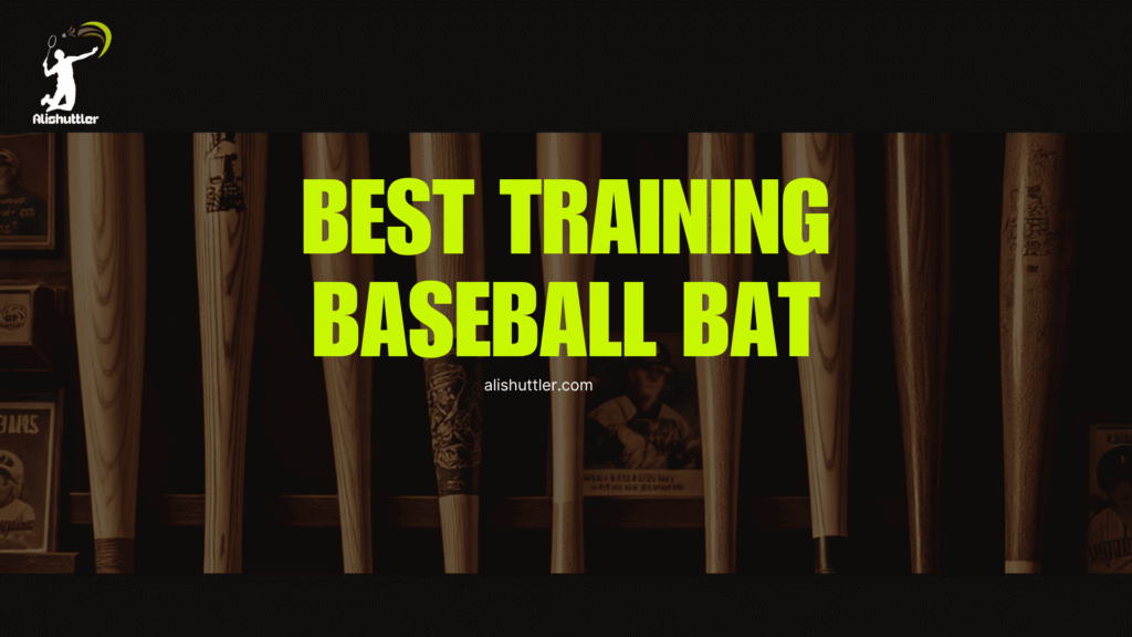 Best Training Baseball Bat