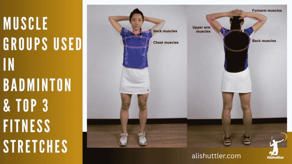 Muscle Groups