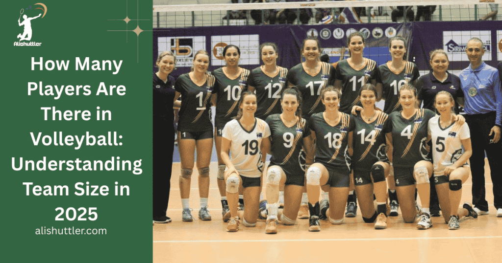 How Many Players Are There in Volleyball