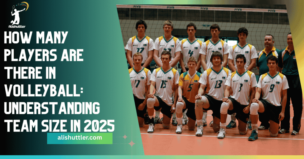 How Many Players Are There in Volleyball