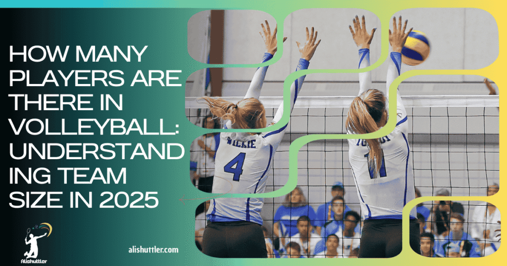 How Many Players Are There in Volleyball