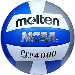 Molten Pro4000 Volleyball